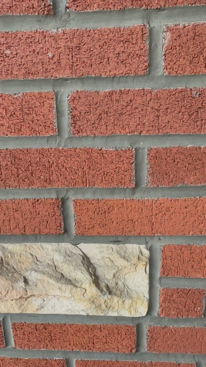 Inside out mug 15 oz